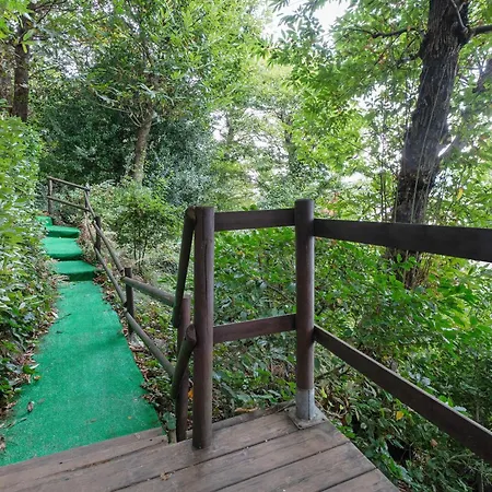 Apartment Tana Della Volpe - Lake Maggiore